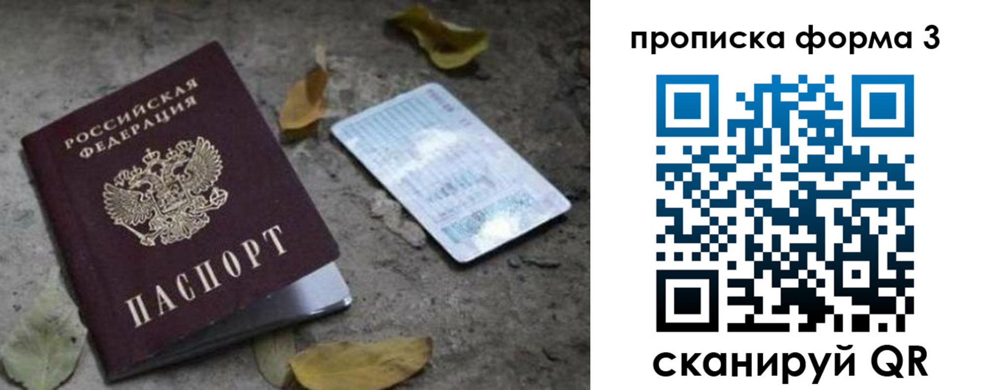 прописка для работы в Тосно